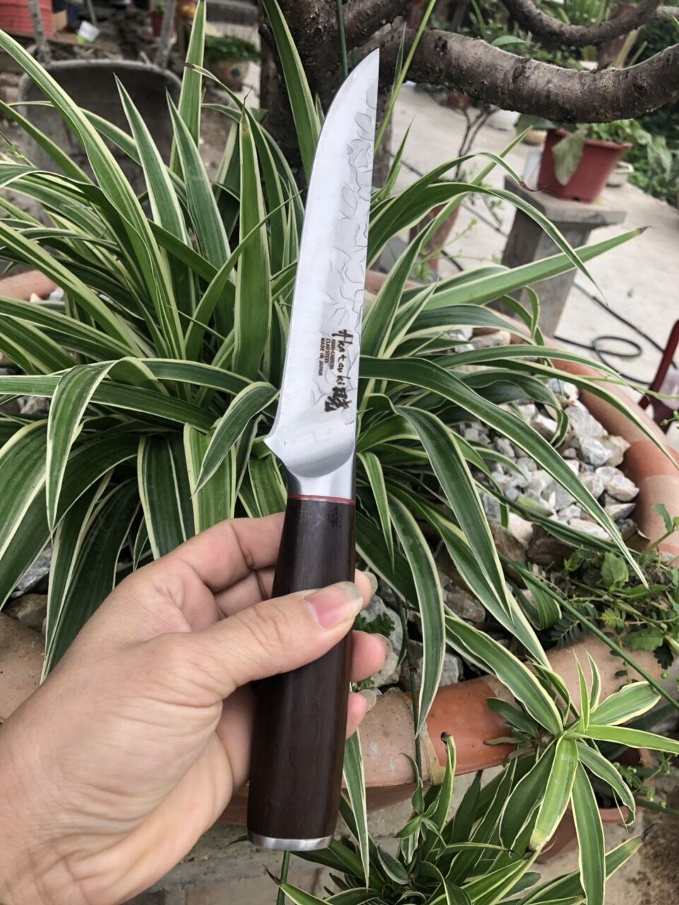 Cặp dao thái - lọc hàng Nhật bãi