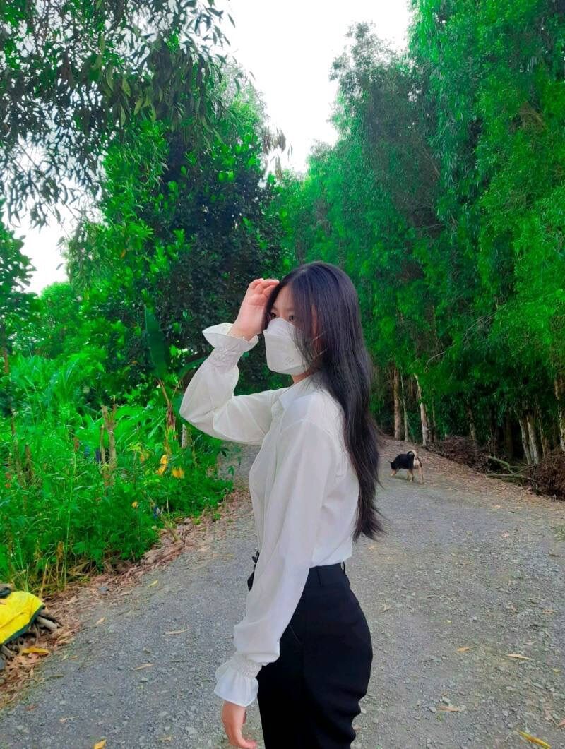 Áo sơ mi nữ tay phồng cúc thường m101