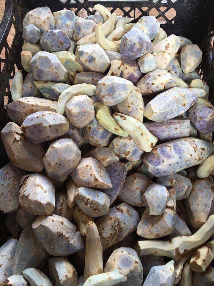 Nghệ đen tươi 1kg