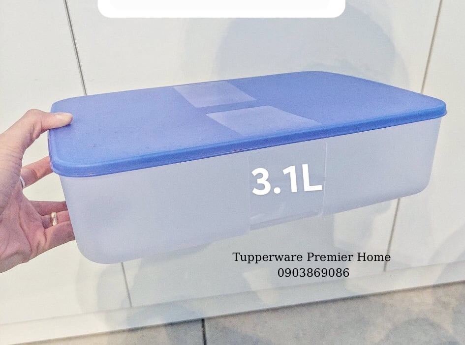 Hộp trữ đông Tupperware Freezermate Essential 3.1L