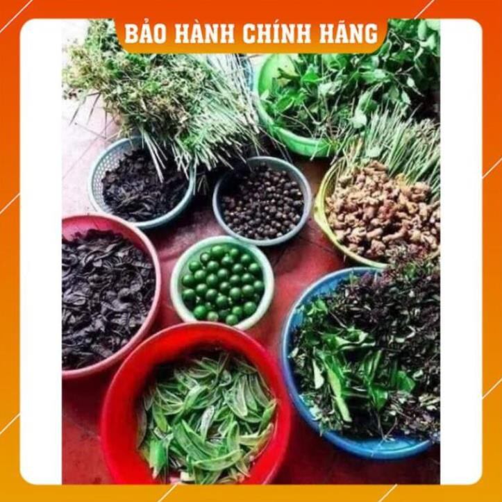 Dầu gội dân gian Thanh Mộc Hương