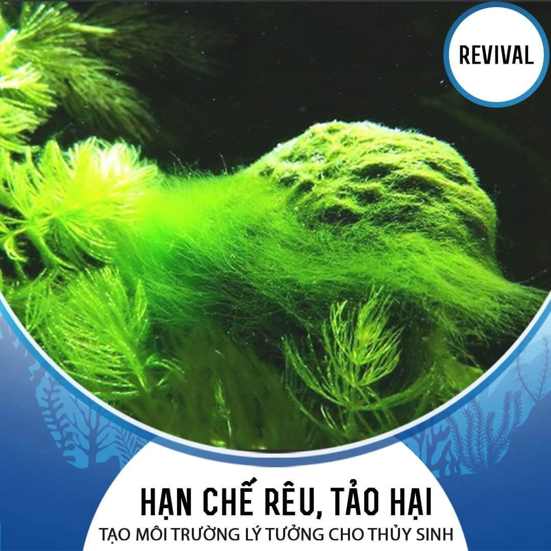 REVIVAL  xử lý nước hồ cá