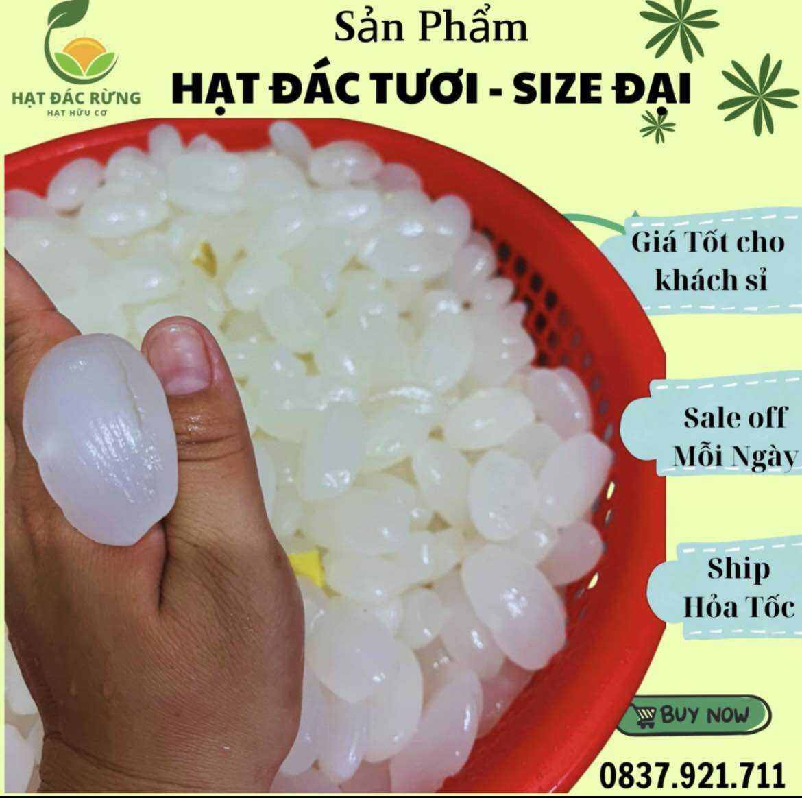 Hạt đác tươi 1kg Hạt đác tươi loại 1 dùng nấu chè rim trái cay