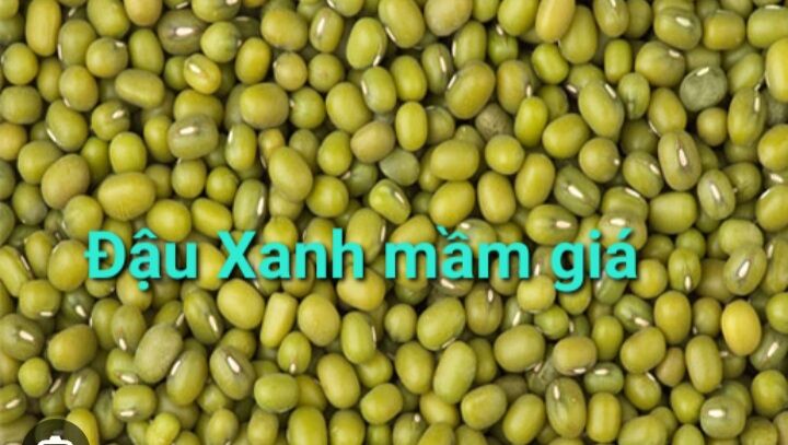 Đậu sạch nhà quê- đậu xanh nguyên hạt hữu cơ
