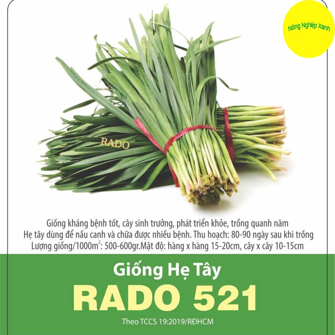 Hạt giống hệ tây rado 521 dễ trồng