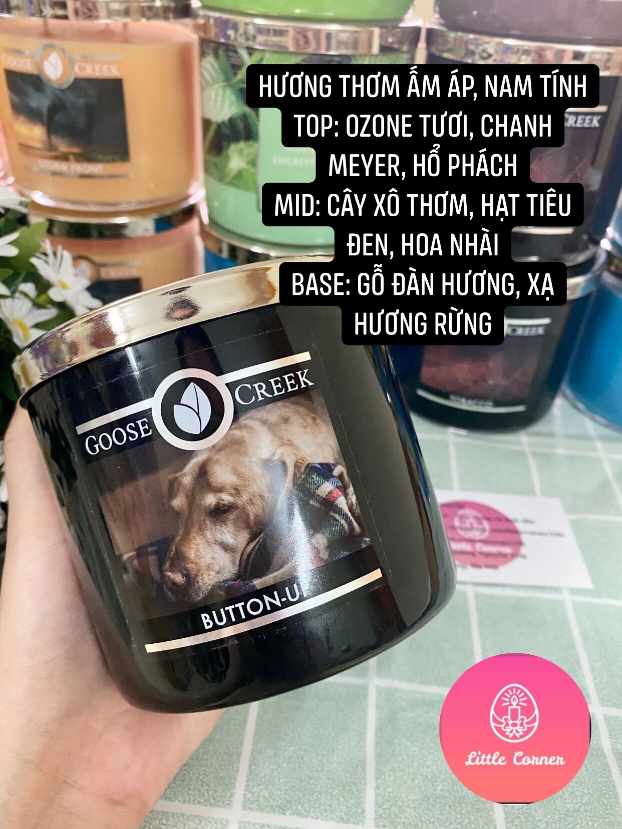 Nến thơm 3 bấc goose creek