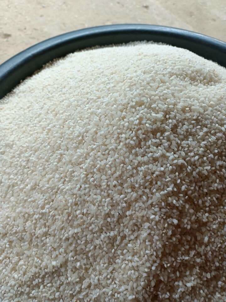 Gạo nếp nương mèo