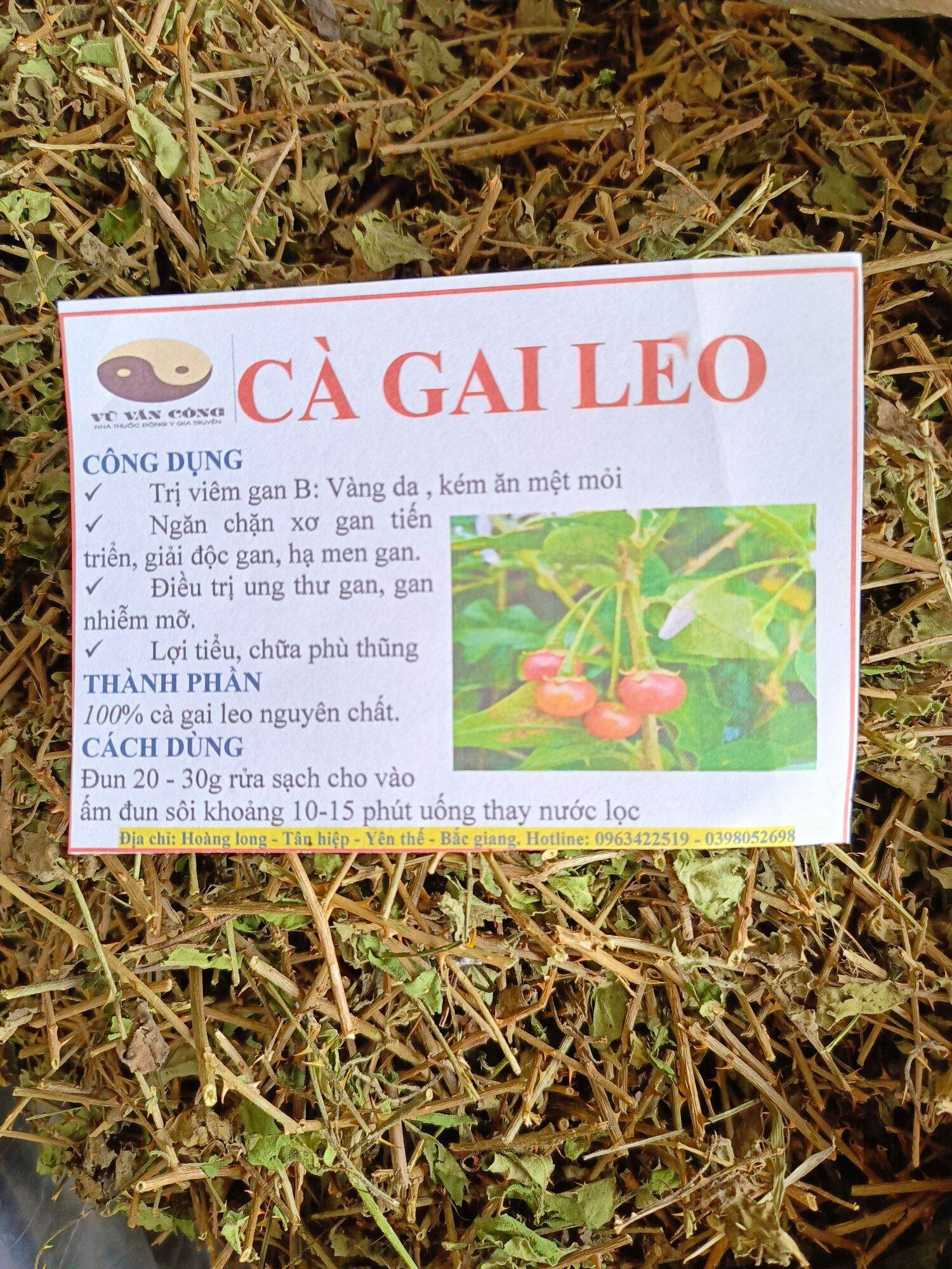 Cà gai leo 1 kg khô sạch