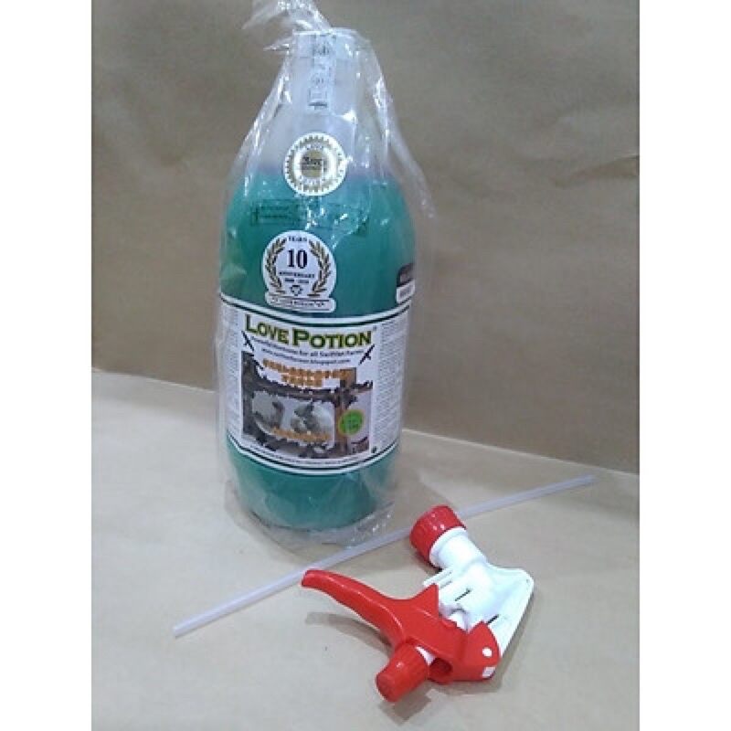 Dung dịch nhà yến love potion