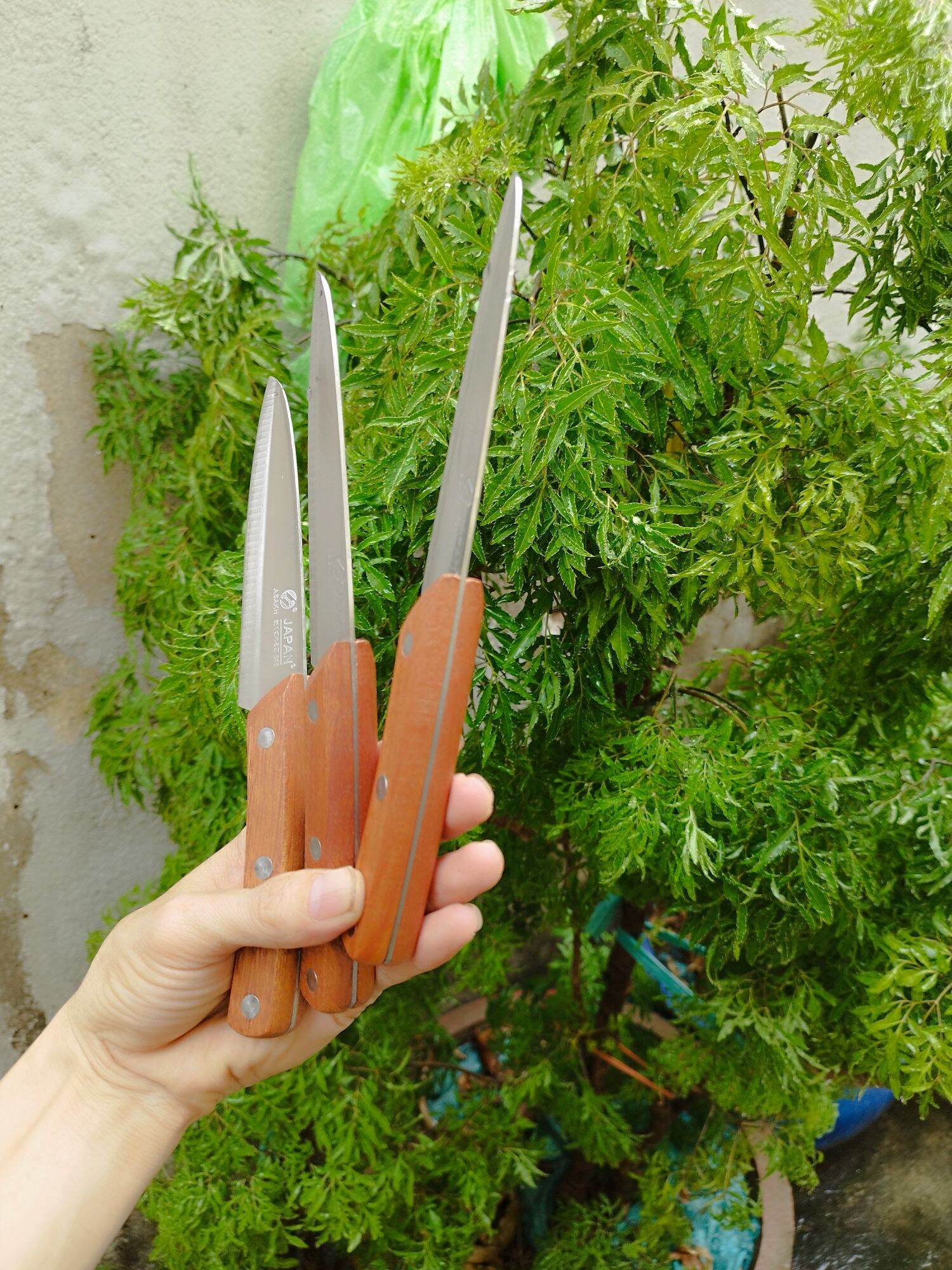 dao gọt trái trái cây ASAKH JAPAN