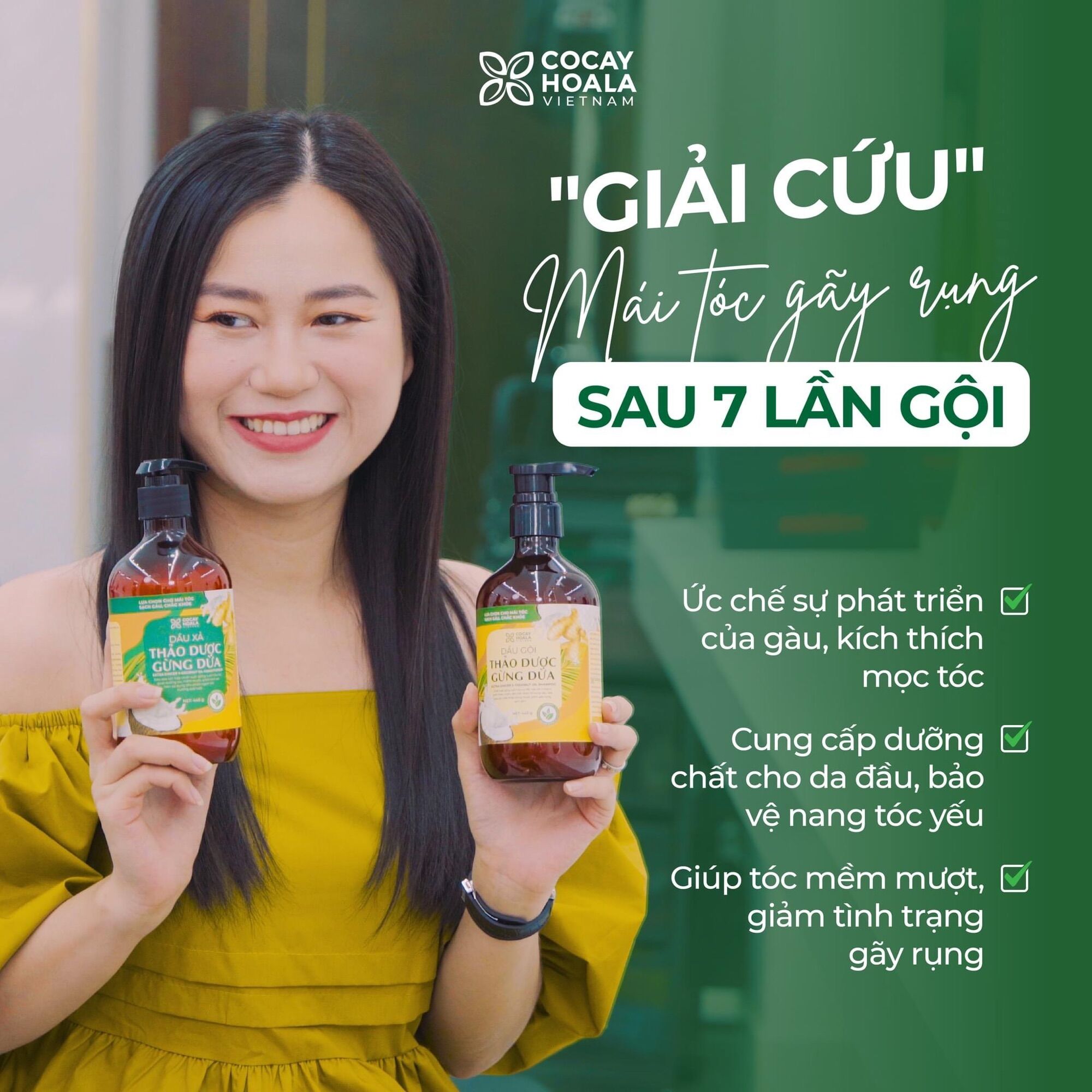 Combo Dầu Gội + Xả Thảo Dược Gừng Dừa