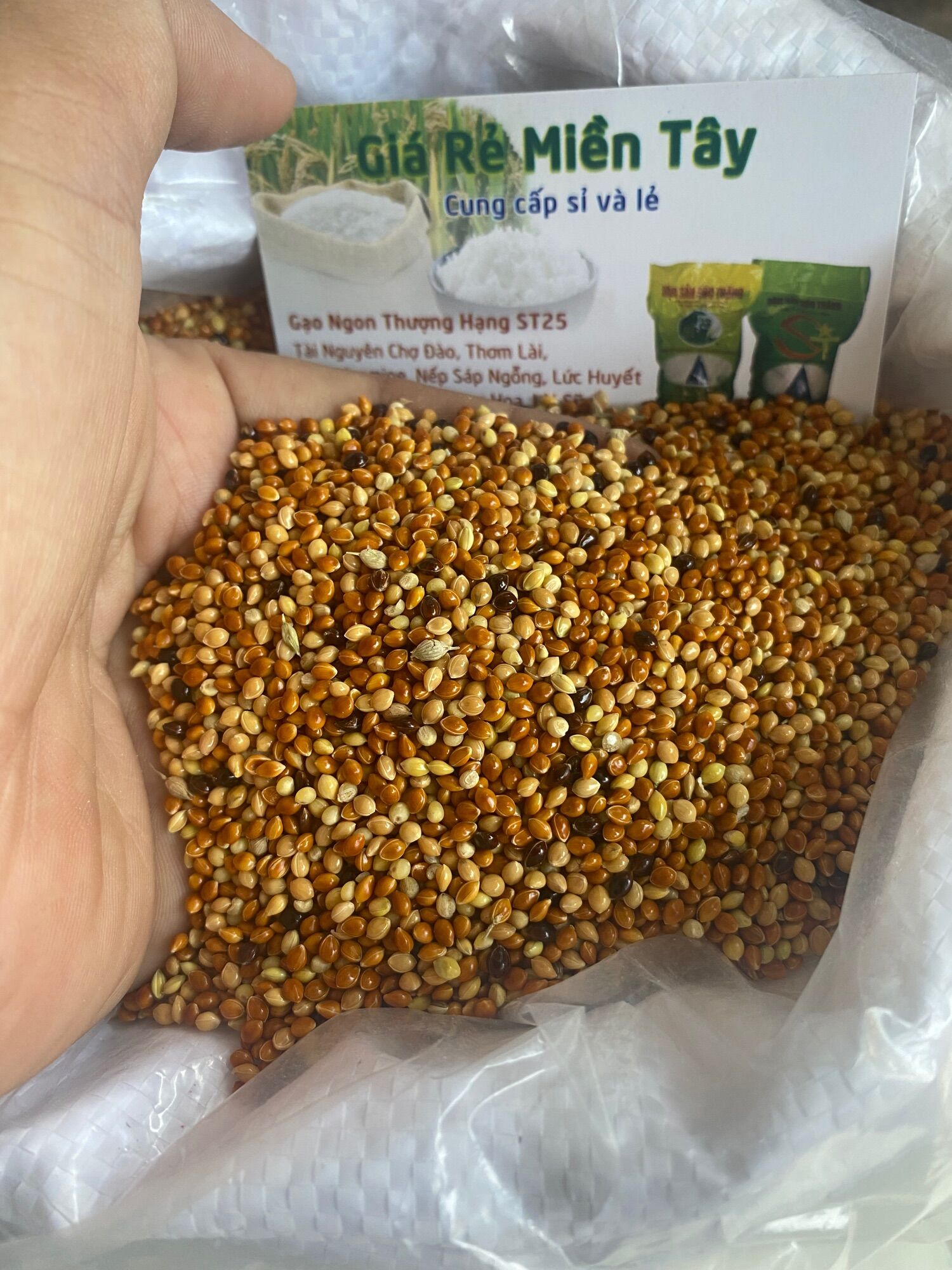 500Gram Cỏ Thái Dành cho Chim, Cu , Gáy ..vv..