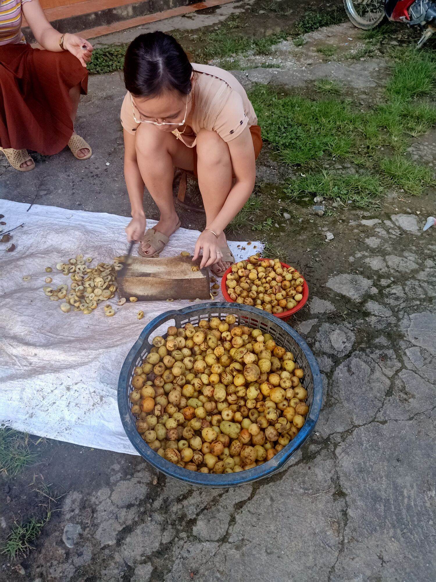Táo mèo khô tây bắc 500g (5 lạng)