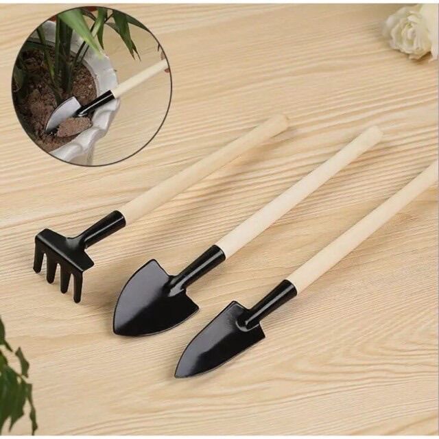 Combo 15 cây sen đá siêu tiết kiệm (sen đá, đất , chậu,đá, bộ dụng cụ làm vườn mini)