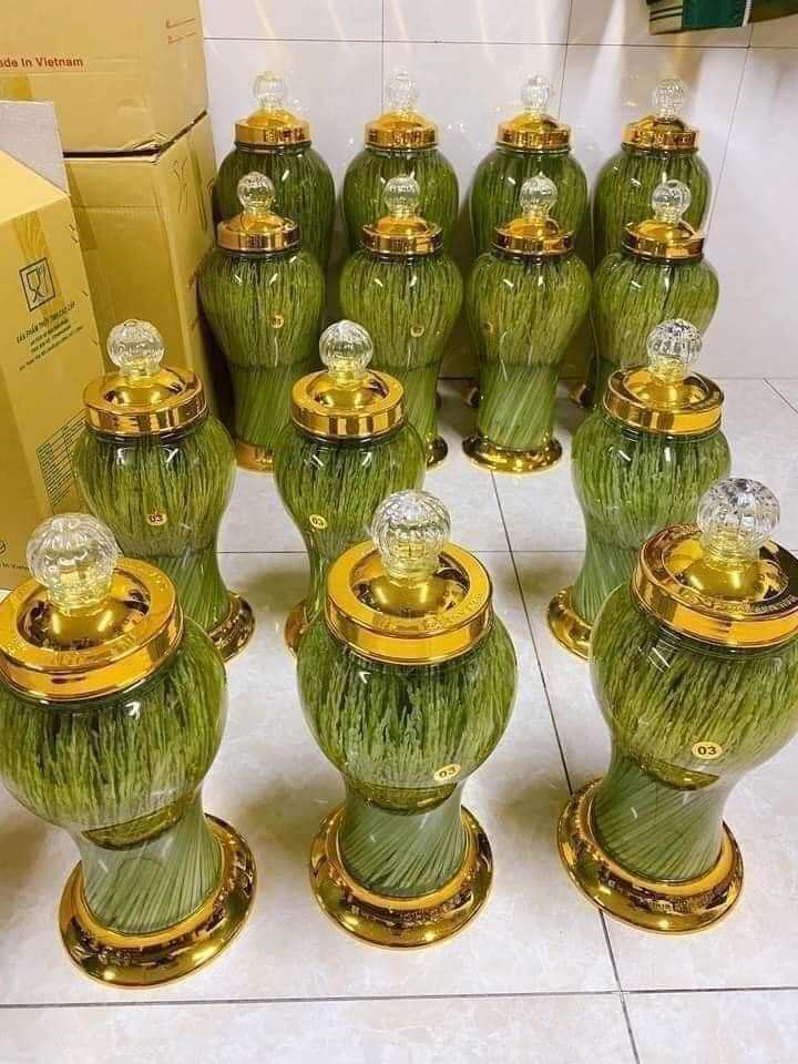 Đòng đòng nếp Cái hoa vàng