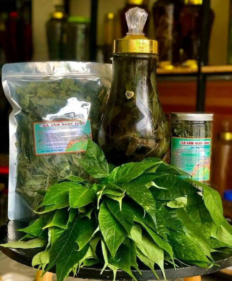 lá sâm ngọc Linh khô 100gram