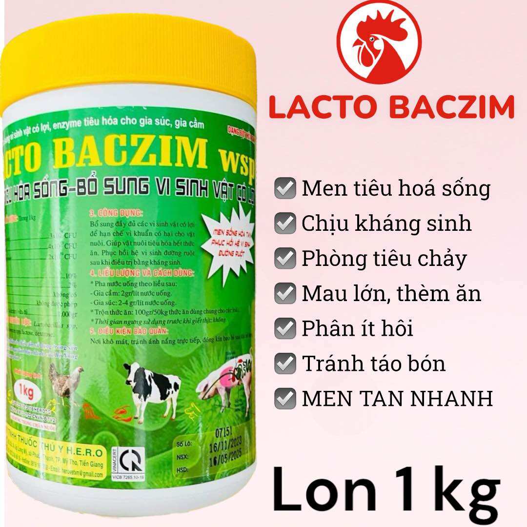 LACTO BACZIM WSP giúp tiêu hoá tốt, phân giảm mùi hôi, tăng trọng, thèm ăn trên gia súc, gia cầm, gà, vịt, trâu, bò, dê, heo
