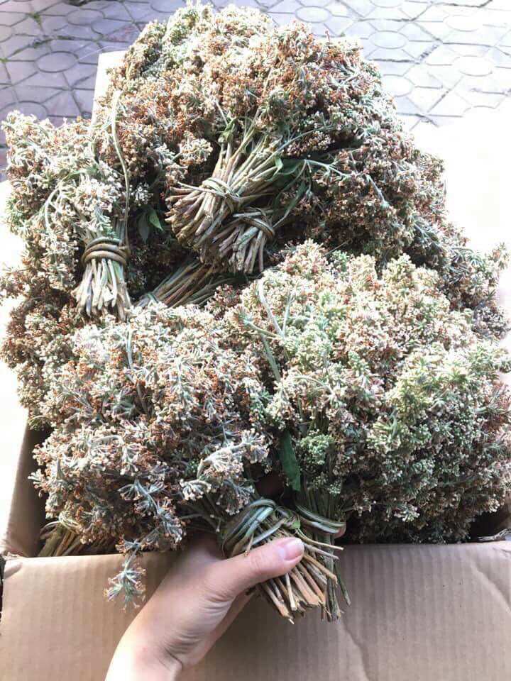 Hoa bó phón phơi khô 160k/kg