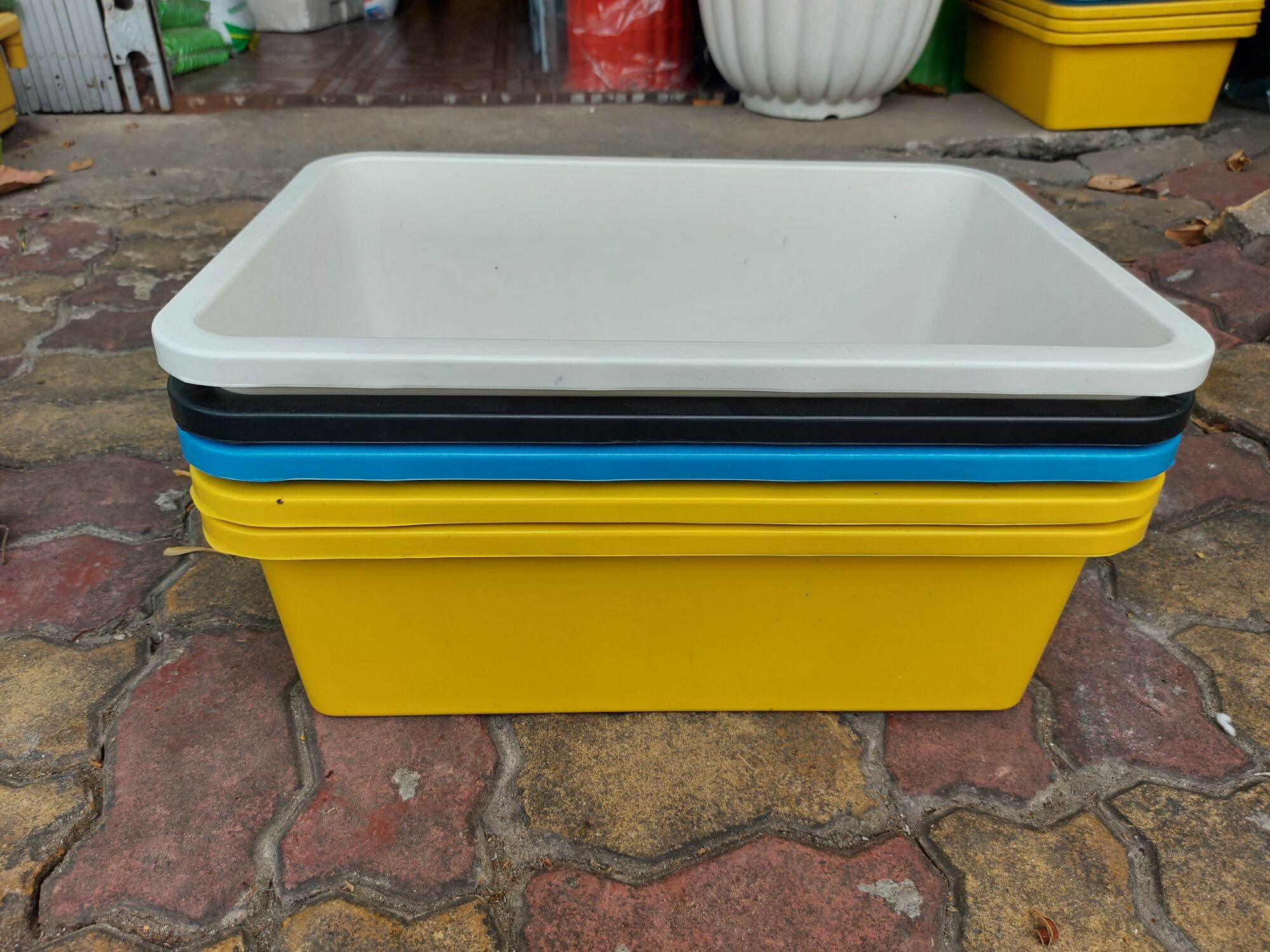 Combo 5 khay 20 lít(50x36x16cm) nuôi cá guppy, betta
