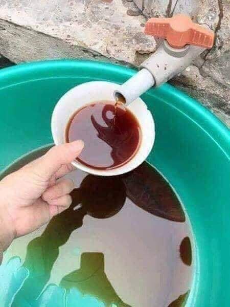 NƯỚC MẮM CỐT ( NGUYÊN CHẤT)  BA LÀNG THANH HÓA . CHAI 1LIT