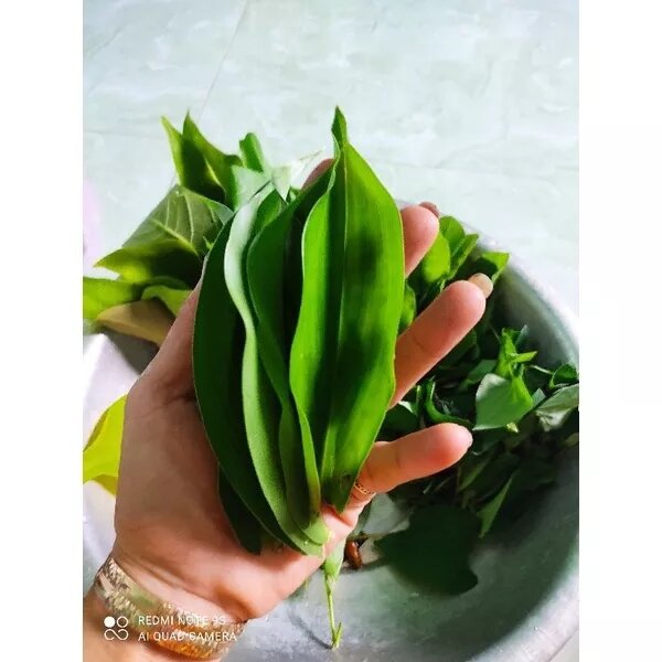 COMBO các loại rau rừng