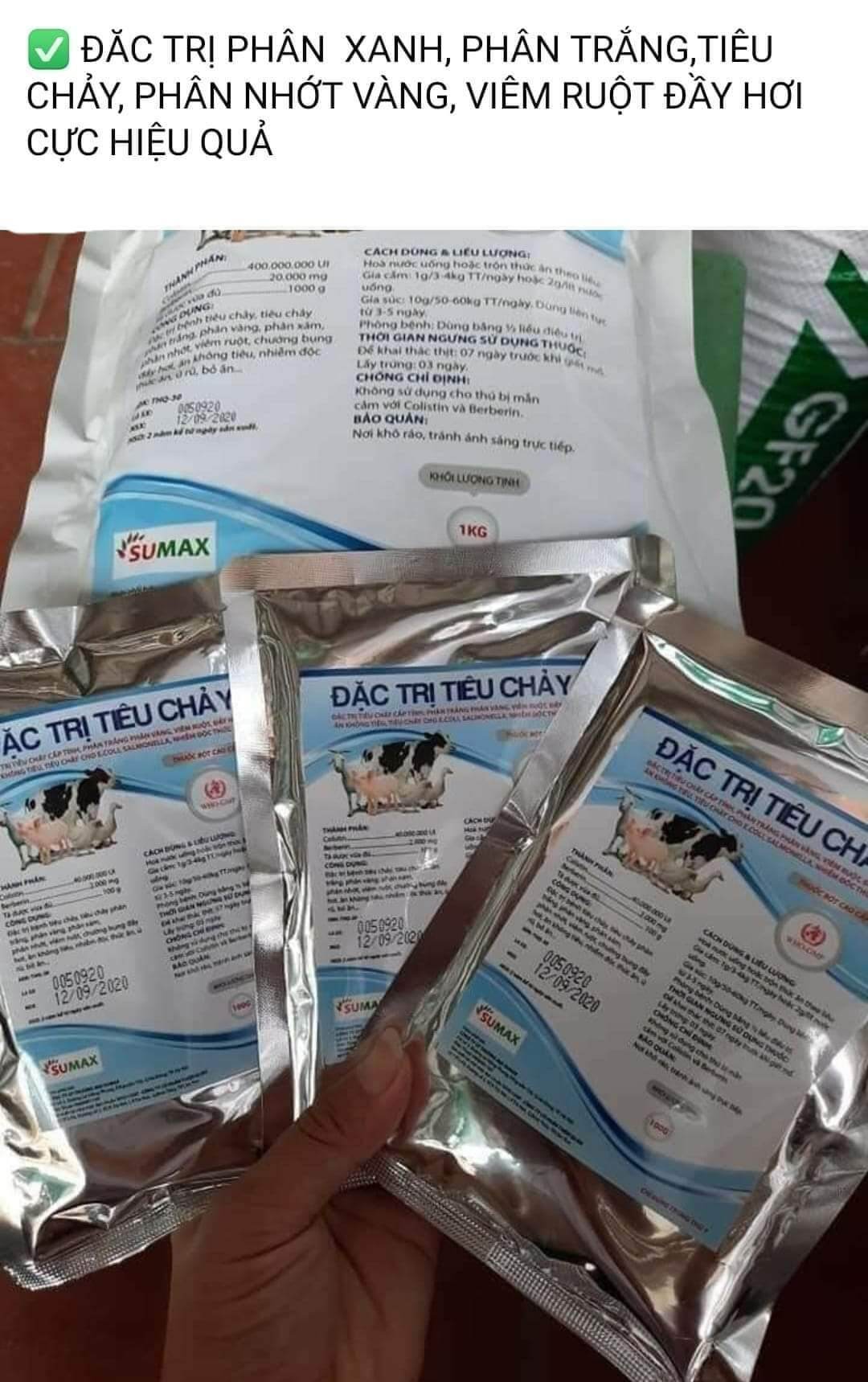 tiêu chảy lợn