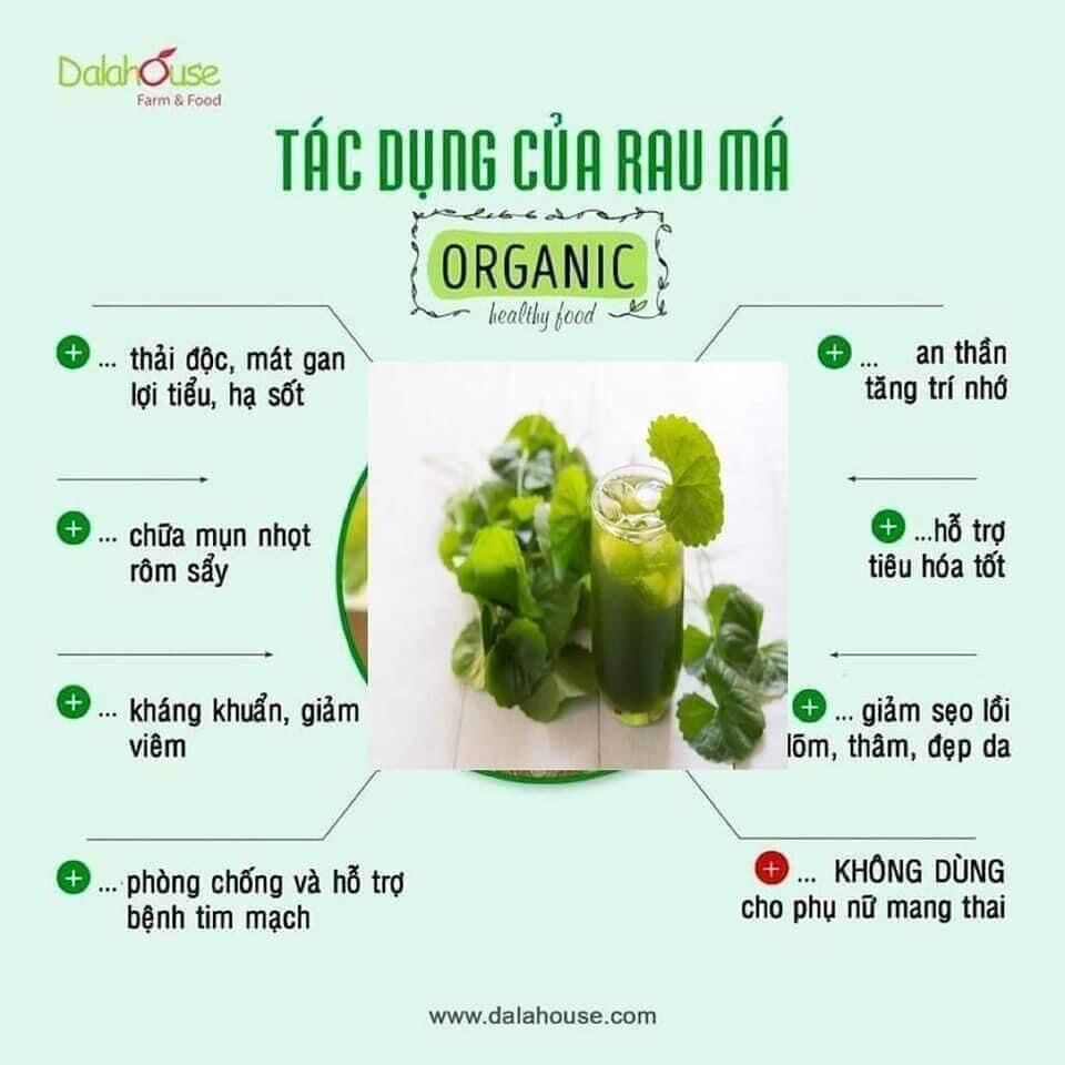 Bột rau má nguyên chất 500g