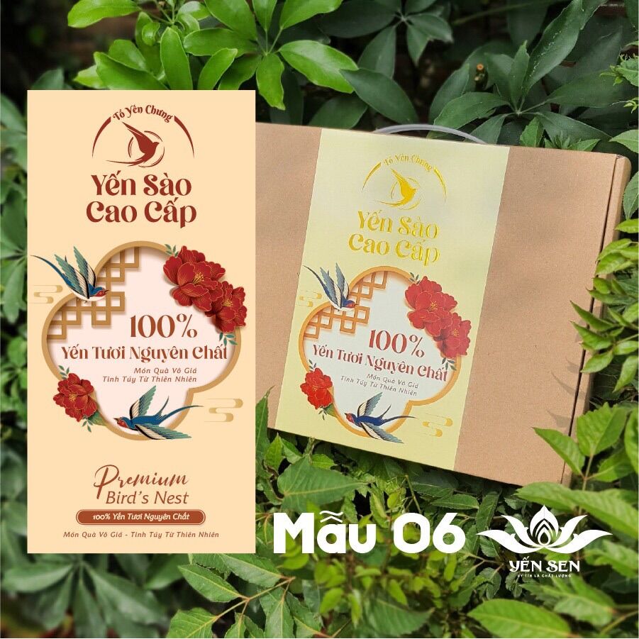 Combo Hộp giấy cao cấp đựng 10 hủ yến (hộp nâu)