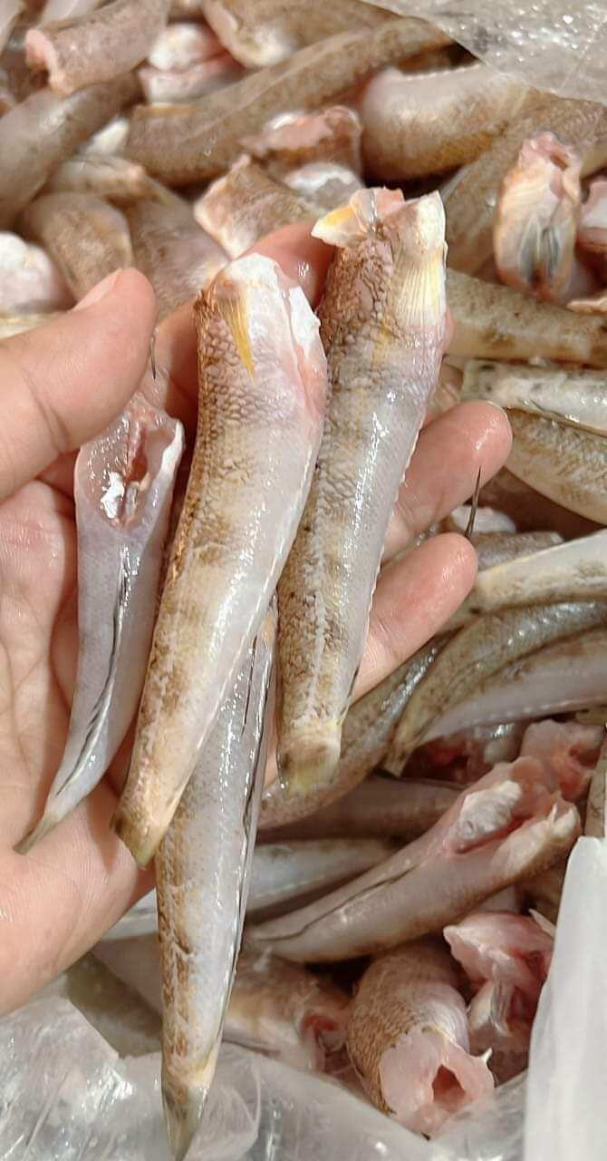 CÁ BỐNG BIỂN ƯỚP SẴN 1kg