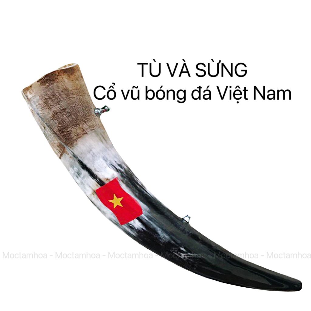 Kèn Tù Và sừng bò châu phi - cổ vũ tinh thần đội tuyển Việt Nam