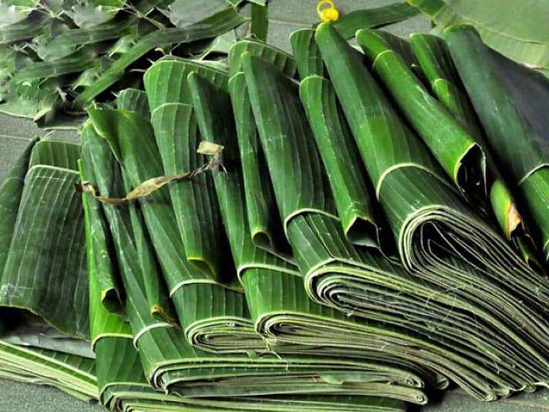 1kg lá chuối hột( chuối chát) tươi