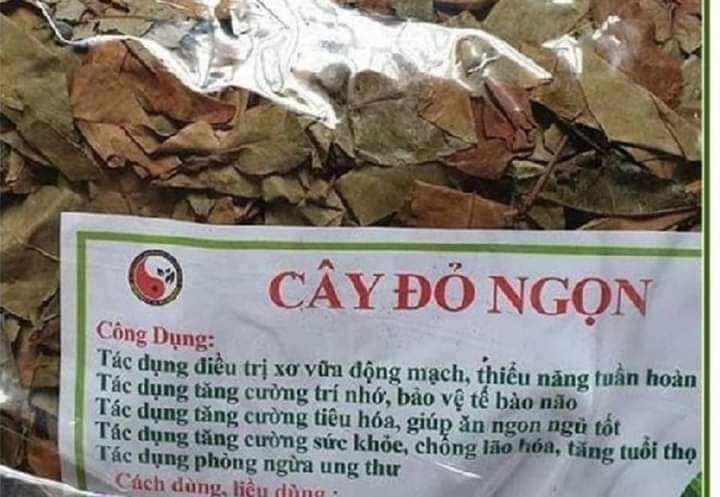1 kg Cây Thành Ngạnh phơi khô hàng nhiều lá