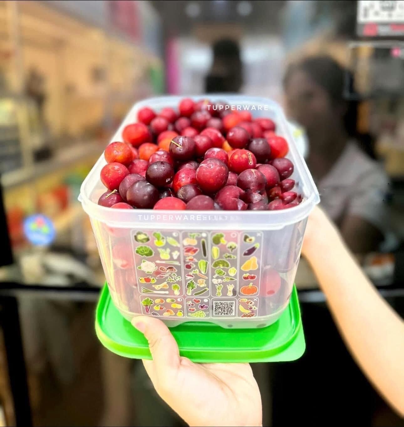 [HCM]Hộp trữ mát Vensmart 4.4L