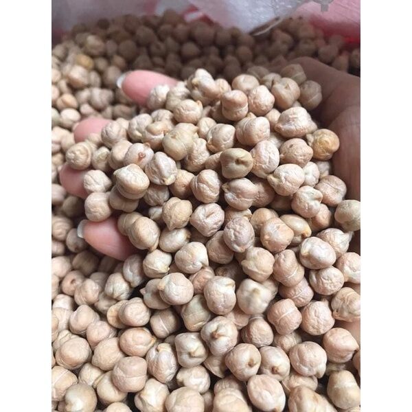 1Kg Đậu gà chick peas khô