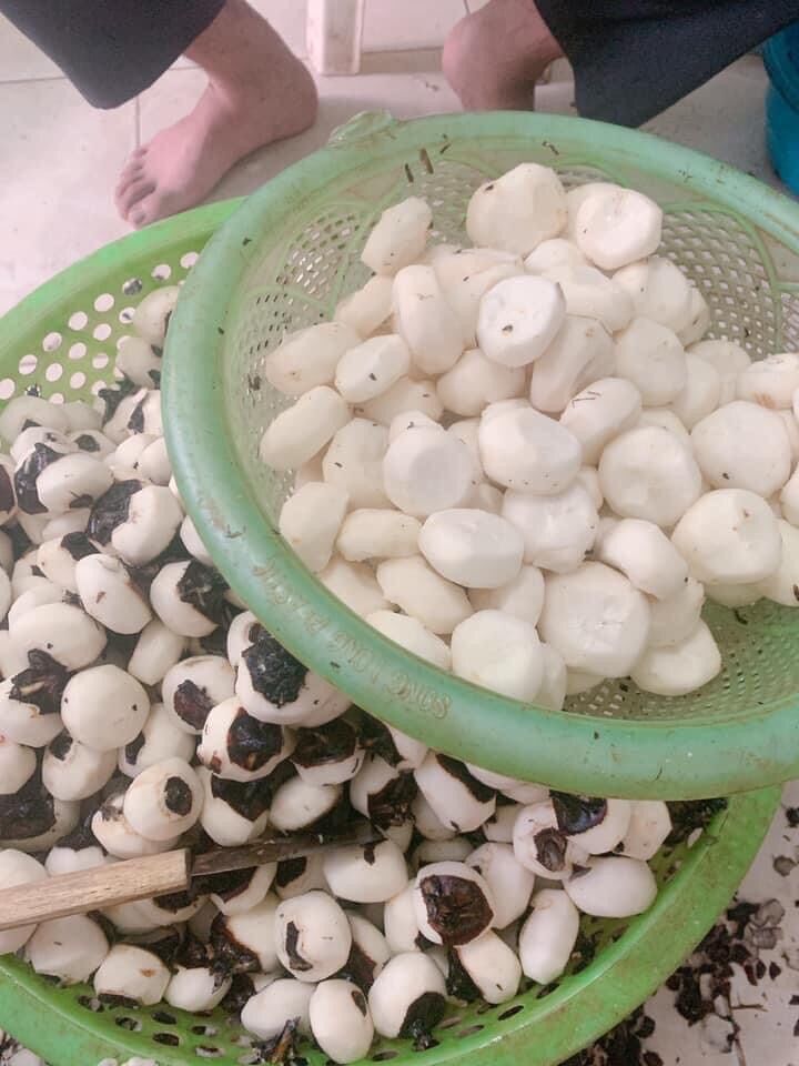 Củ năng tươi gọt vỏ 500g