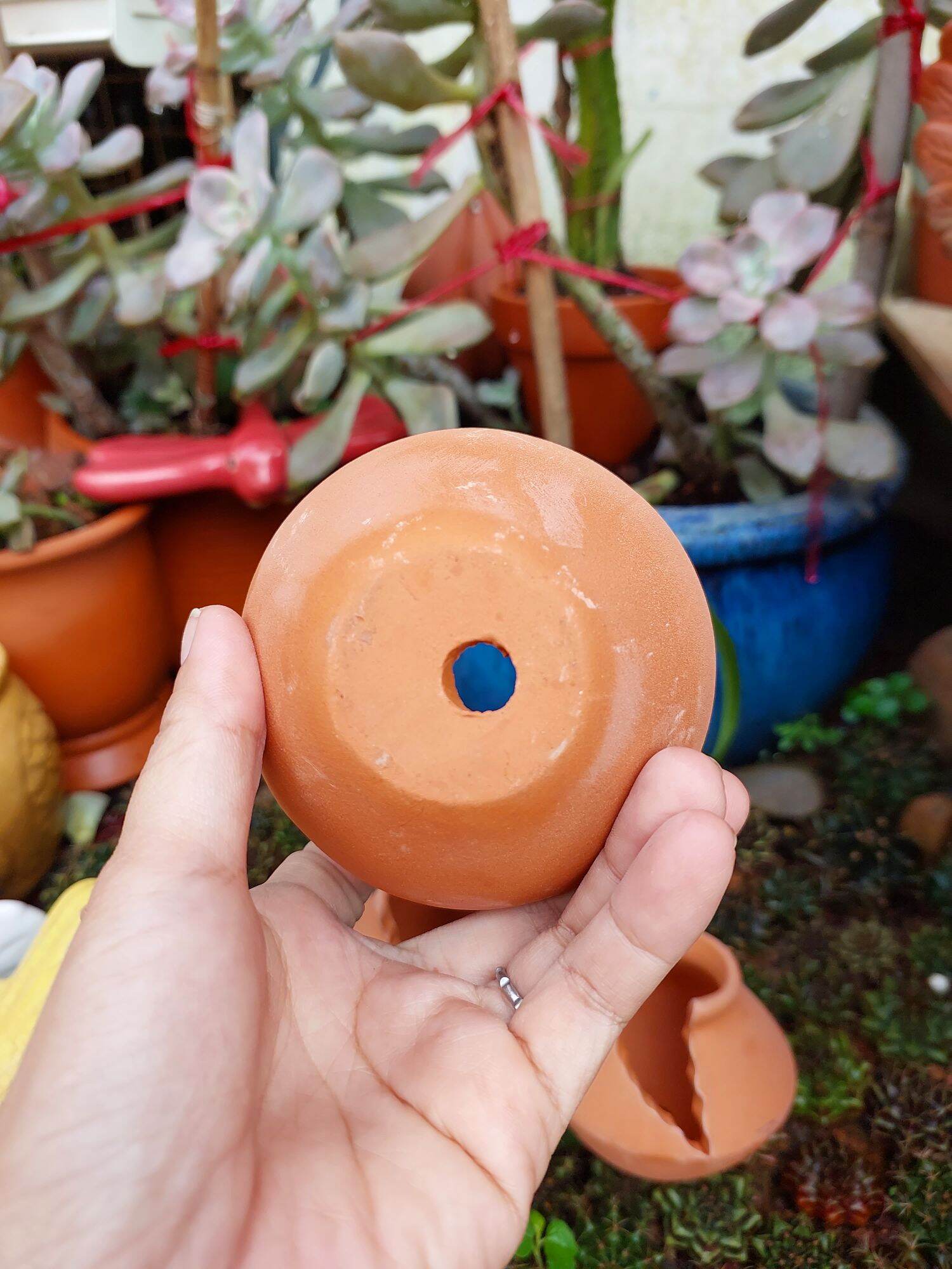 Chậu đất nung Bình Dương xẻ mini m 3 x 7.5
