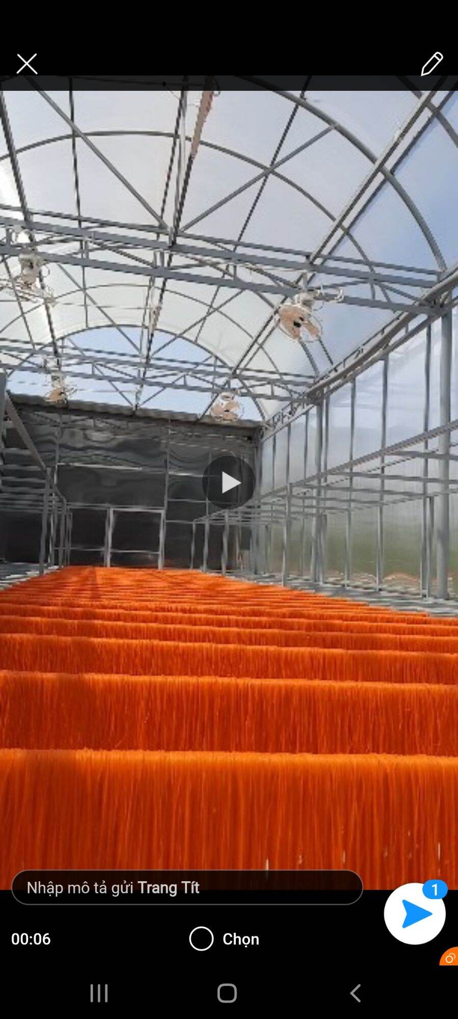bún gạo gấc tươi sấy khô