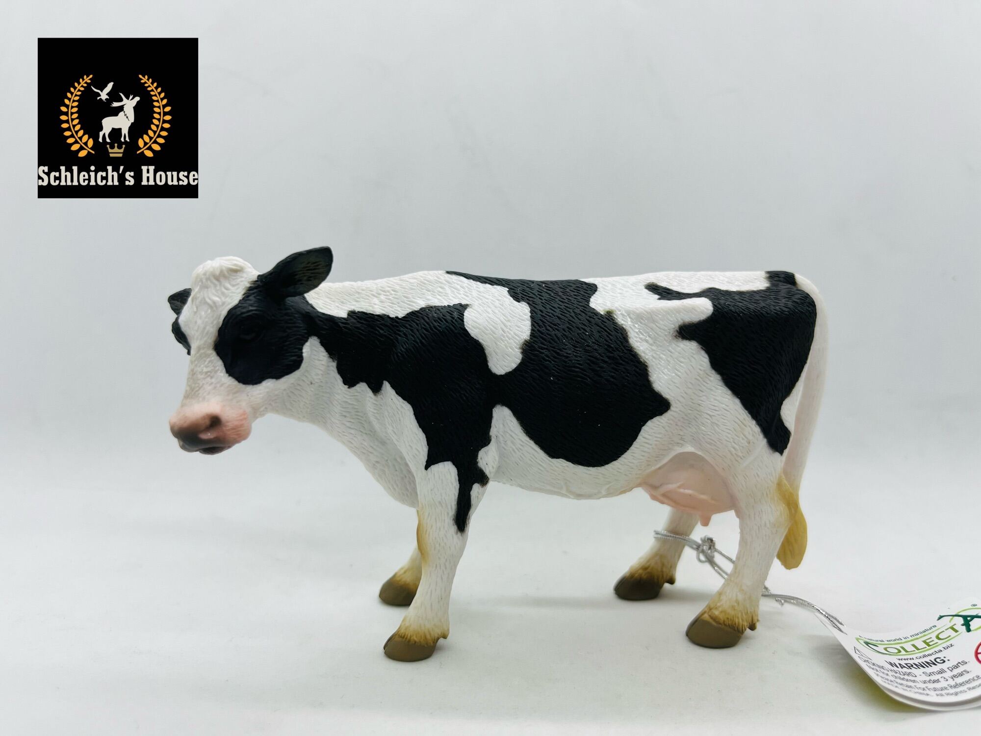 Hiệu quả mô hình nuôi bò sữa  Nông nghiệp Tây Ninh  TayNinhTV  YouTube