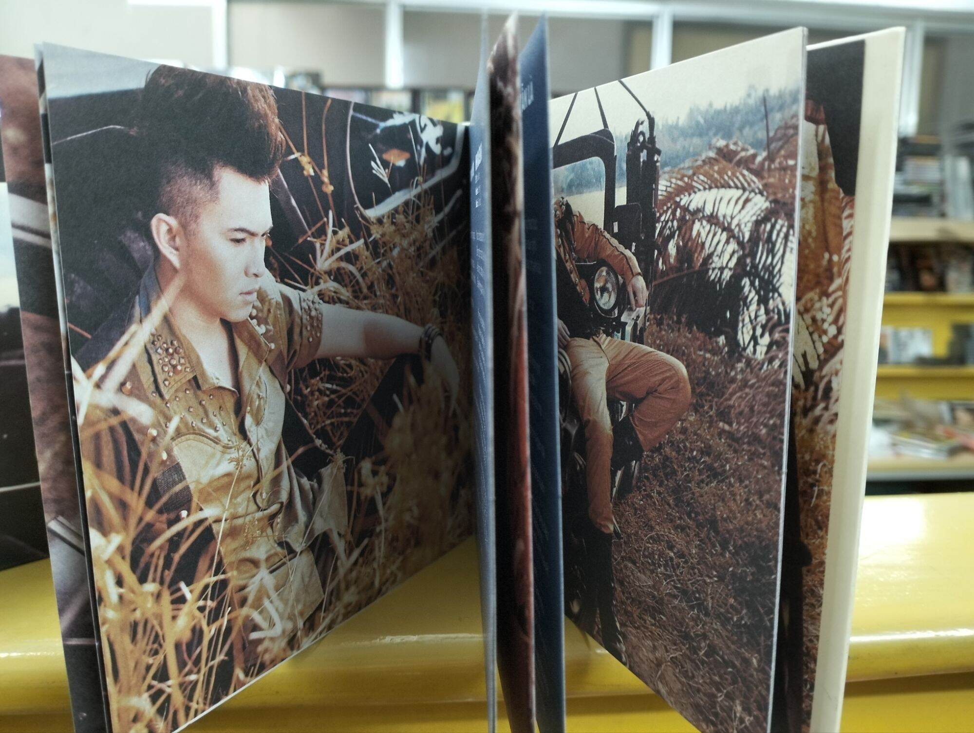 CD & DVD Nam Cường vol.4