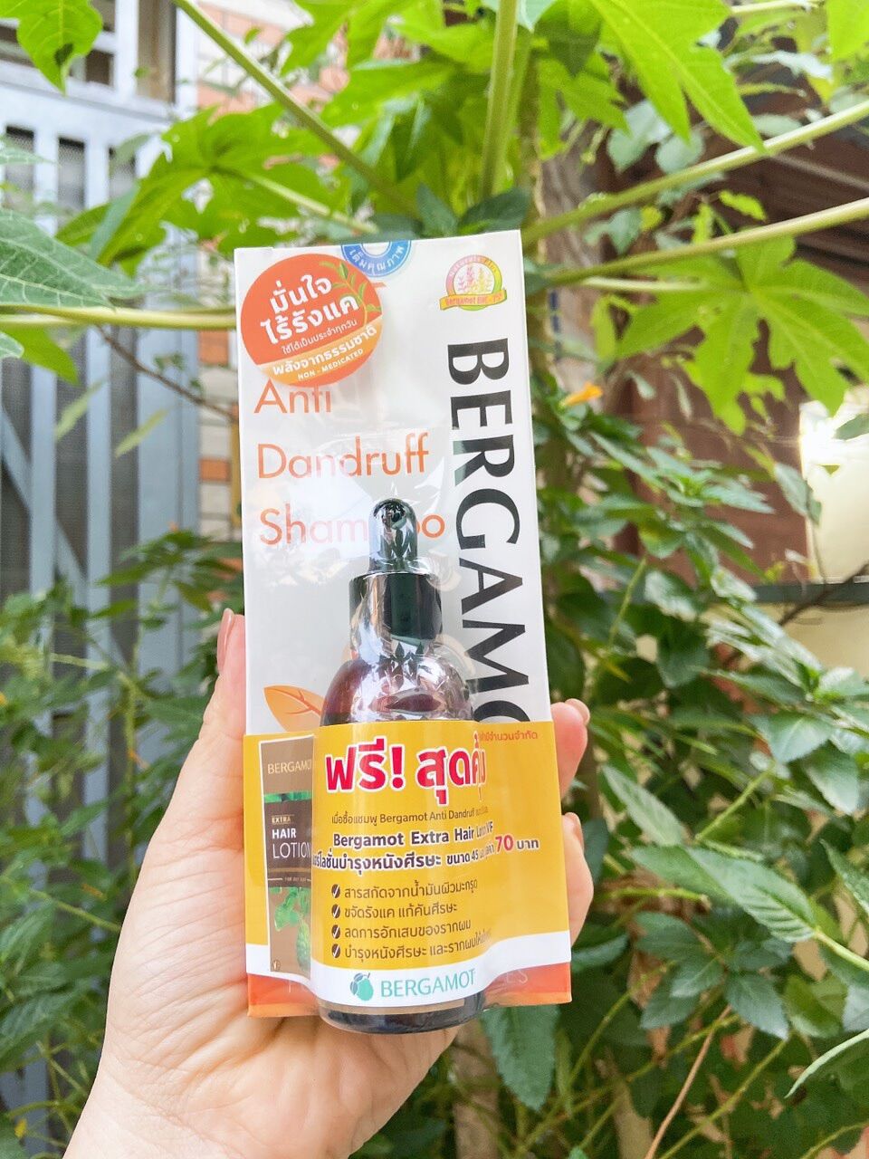 Dầu gội gàu bergamot 200ml thái lan