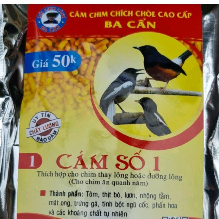 Cám chim chích chòe số 1