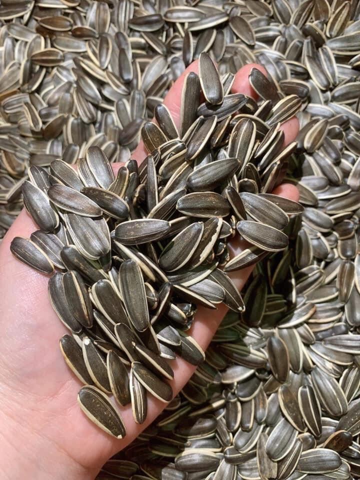 0,5kg hạt hướng dương rang tay