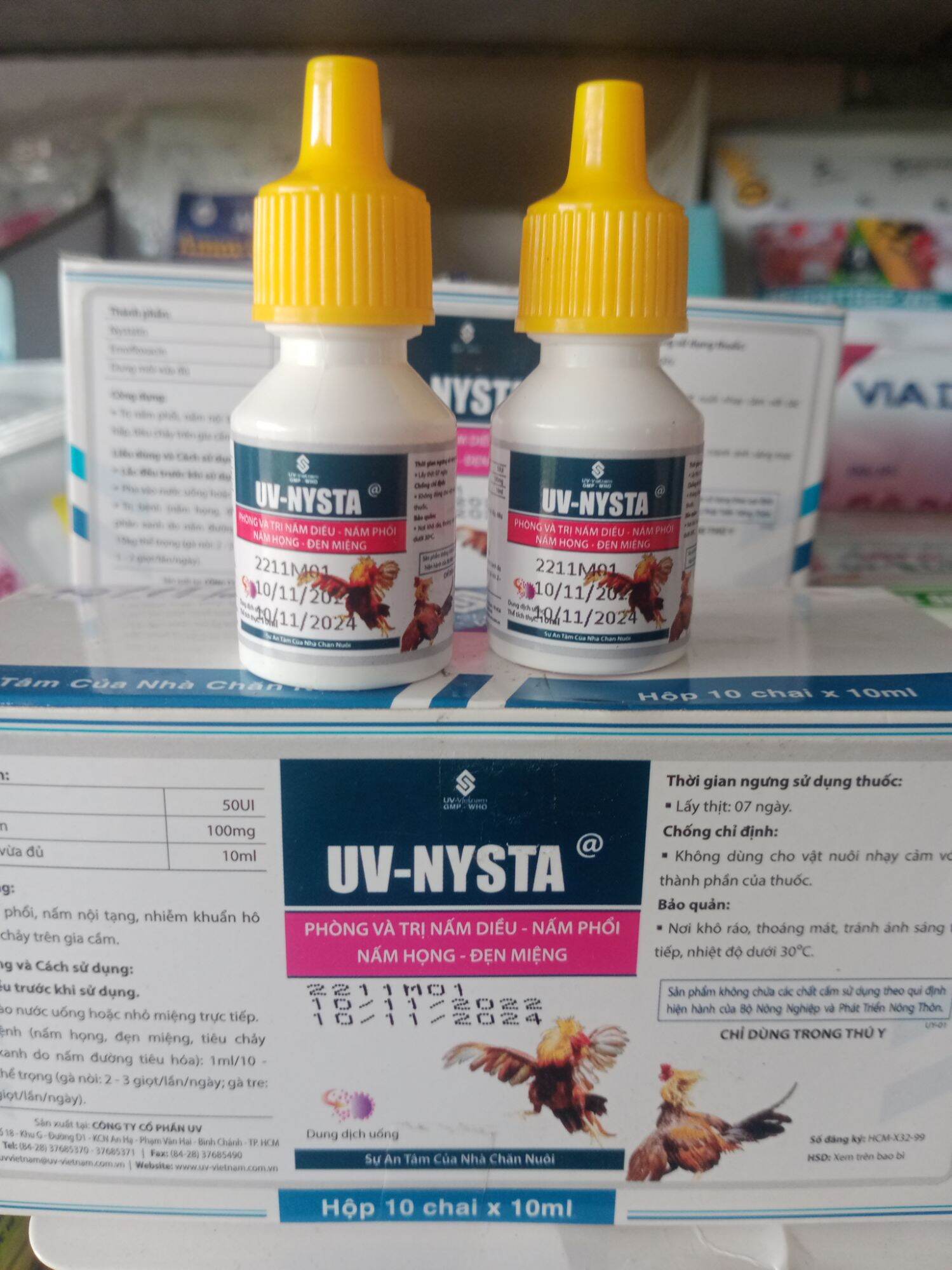 Uv - nysta , trị nấm đẹn gà đá