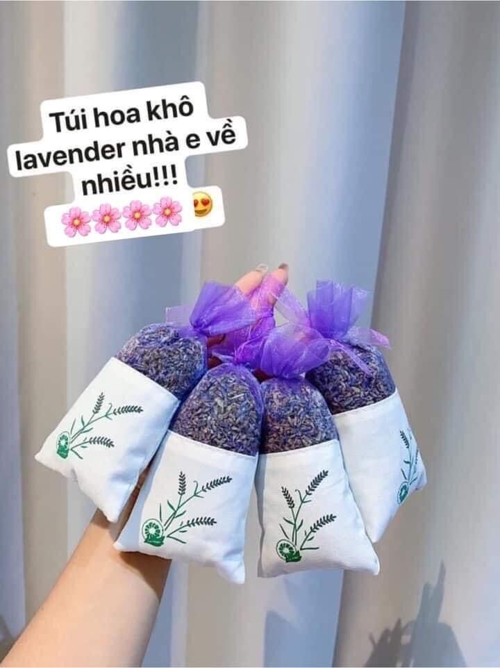 Túi thơm Lavender - Túi hoa khô