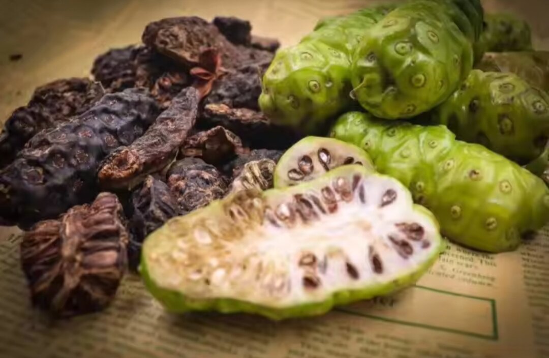 1kg trái nhàu phơi khô tự nhiên hỗ trợ h.ạ h.uyết á.p - su.y giản t.ĩnh m.ạch - u.ng thư - giả.m đ.au n.hức