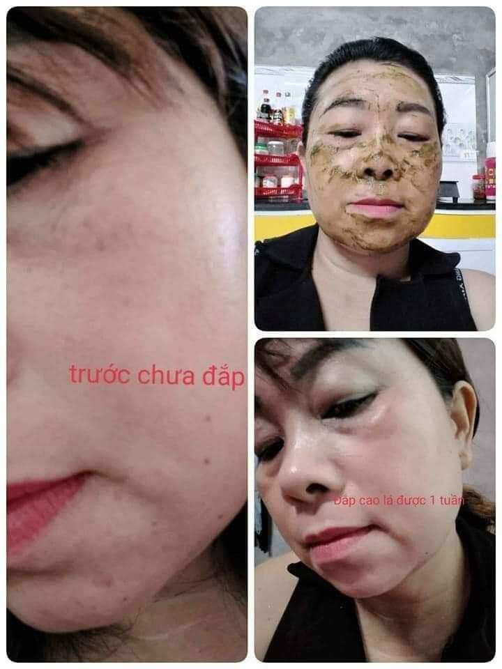 Cao Lá Rừng Tươi