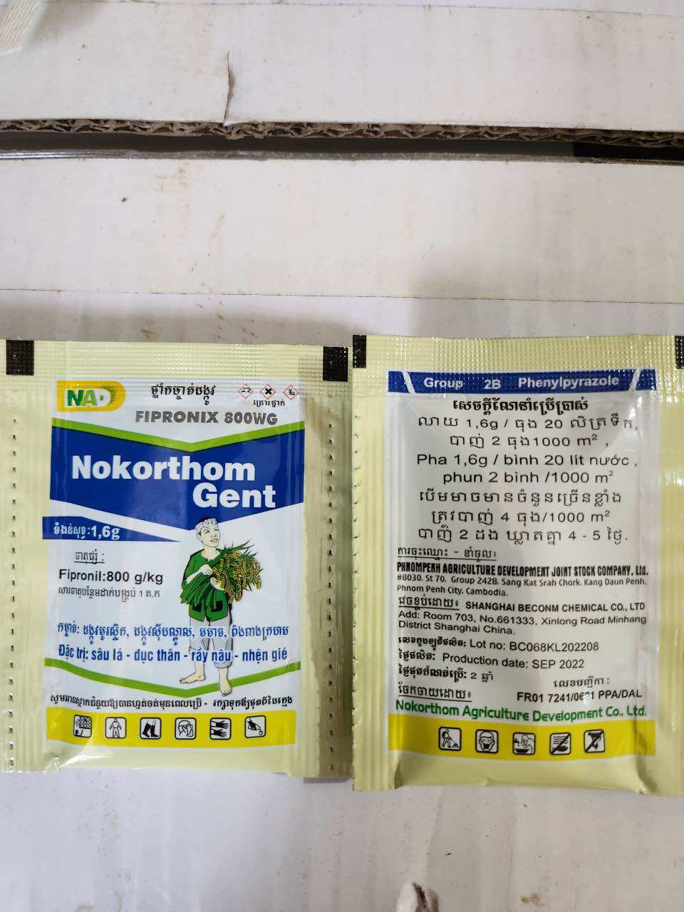 Diệt kiến gián côn trùng