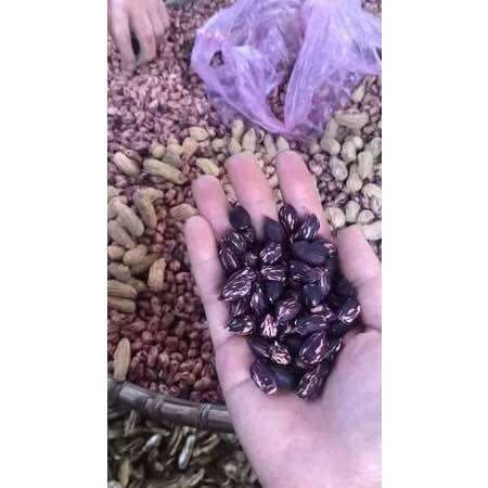 Lạc vằn lạc hoa mèo 500g -1kg