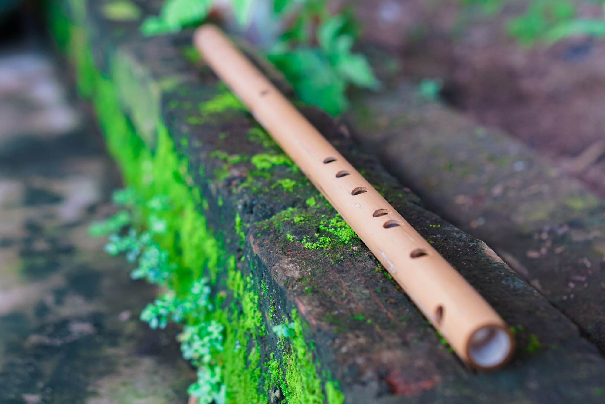 Sáo trúc tone si giáng nứa bắc