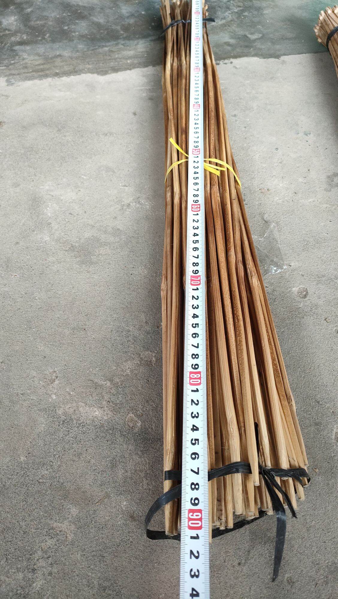 50 CẦN CÂU CẮM CÁ LÓC CÁ TRÊ CHƯA TÓM LƯỠI